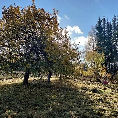 Luukkosenkylaen Myllytila